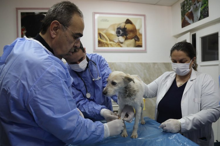 Enkaz altında kalan Hataylı ‘Afet’, Gaziantep tedavisinde