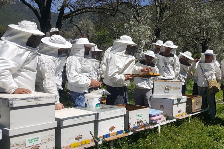 Muğla’da balcılığa ‘Büyük’ destek