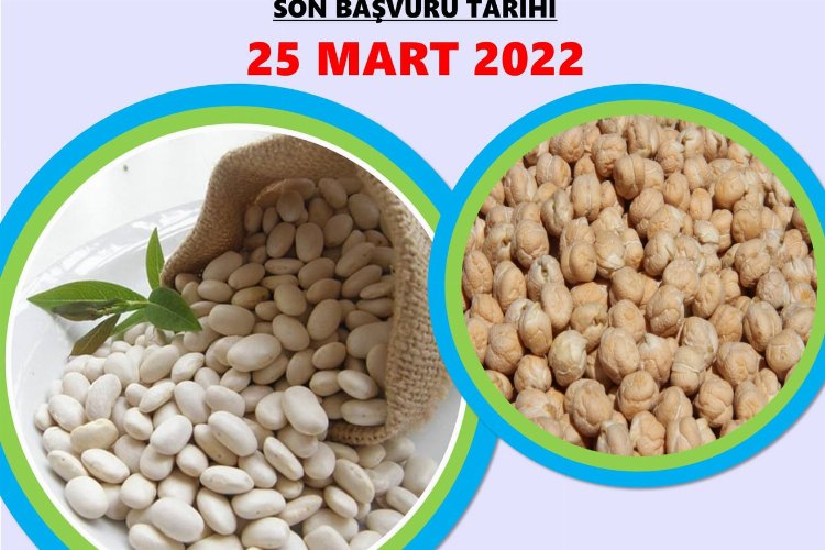 Niğde’de fasulye ve nohut tohumu hibe edilecek