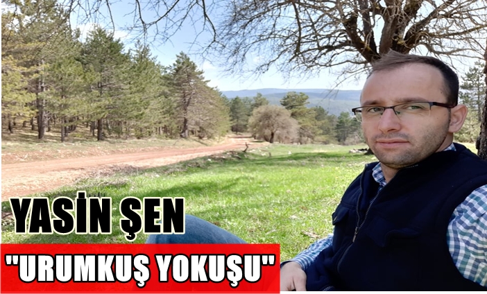 Yasin Şen: Urumkuş Yokuşu