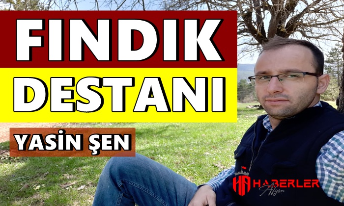 Yasin Şen ”Fındık Destanı”