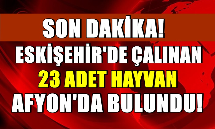 Eskişehir’de çalınan 23 hayvan Afyon’da bulundu