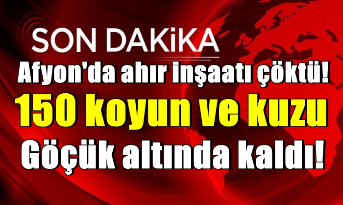 Afyon’da ahır inşaatı çöktü! 150 küçükbaş göçük altında kaldı!