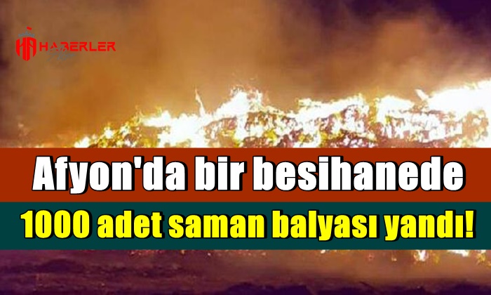 Afyon’da bir besihanede 1000 adet saman balyası yandı!