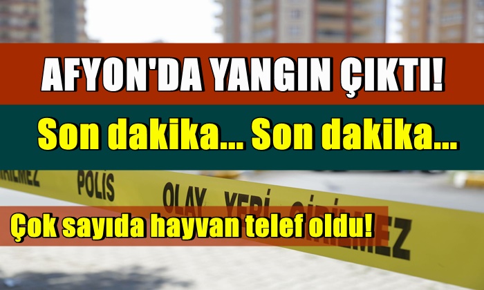 Afyon’da yangın çıktı! 3 hayvan telef oldu