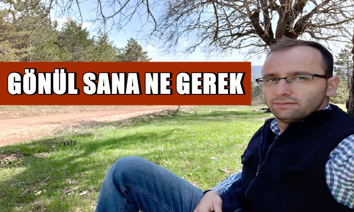 Gönül Sana Ne Gerek