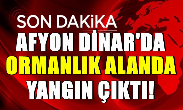 Afyon Dinar’da ormanlık alanda yangın çıktı