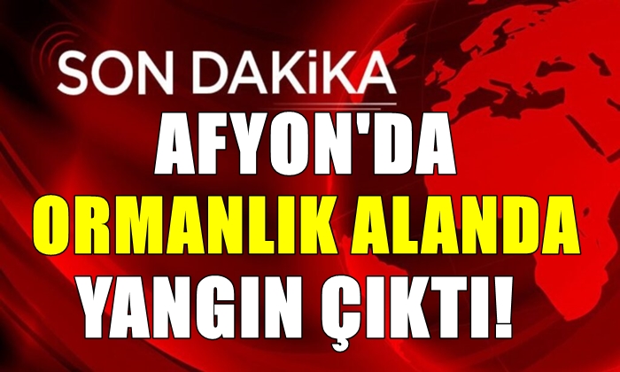 Afyon’da ormanlık alanda yangın çıktı!