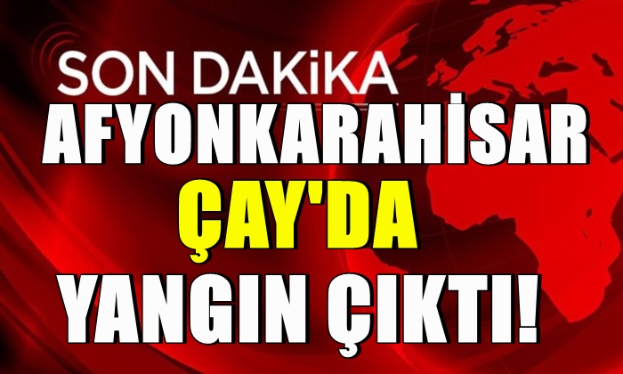 Afyonkarahisar Çay’da yangın çıktı!