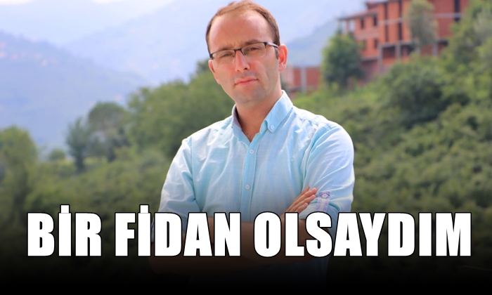 Bir Fidan Olsaydım
