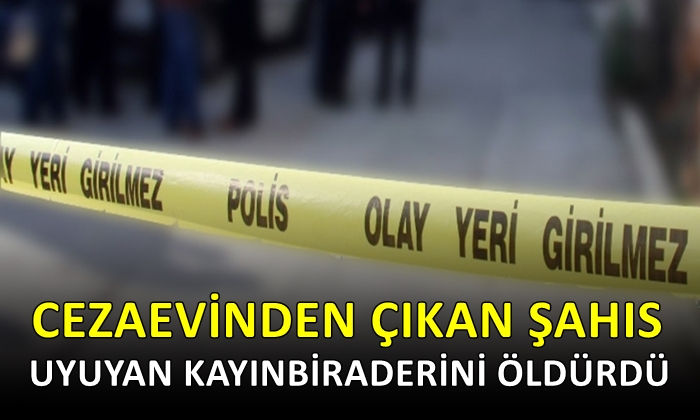 Cezaevinden çıkan şahıs, uyuyan kayınbiraderini öldürdü