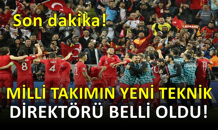 Milli takımın yeni teknik direktörü belli oldu