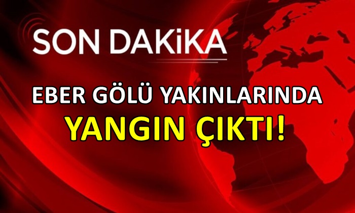Eber Gölü yakınlarında yangın çıktı!