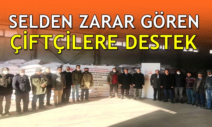 Selden zarar gören çiftçilere buğday tohumu desteği