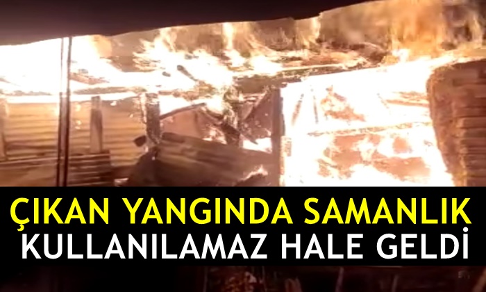 Çıkan yangında samanlık kullanılamaz hale geldi