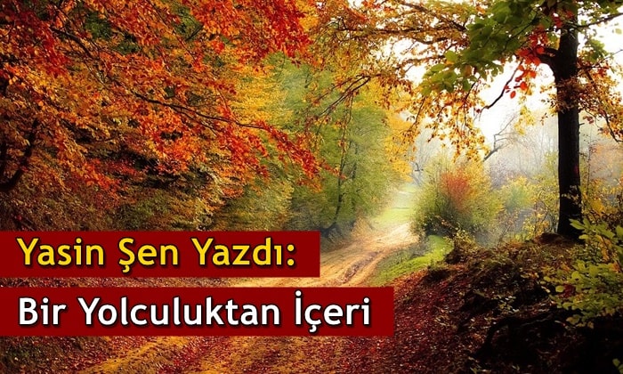 Yasin Şen: Bir Yolculuktan İçeri