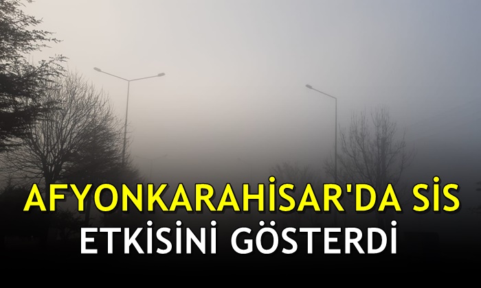 Afyonkarahisar’da sis etkisini gösterdi