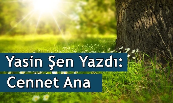 Yasin Şen Yazdı: Cennet Ana
