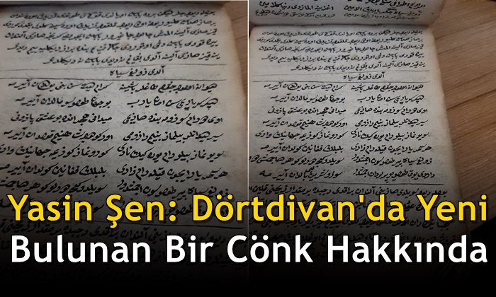 Dörtdivan’da Yeni Bulunan Bir Cönk Hakkında