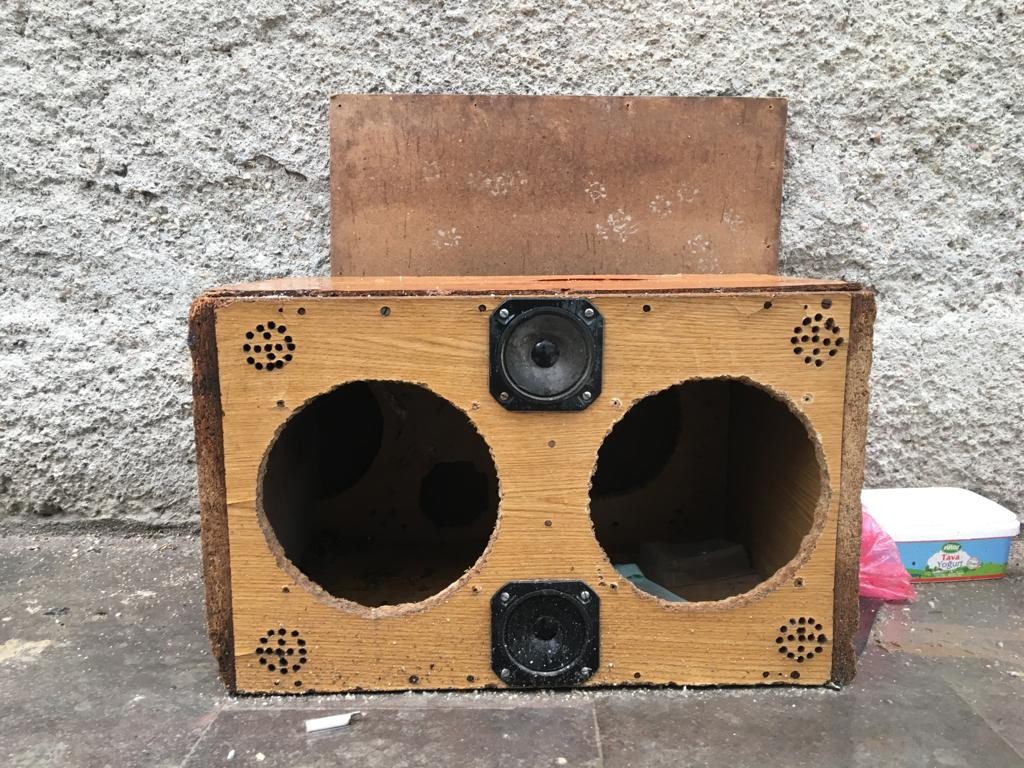 Hoparlör kutusu kedilere yuva oldu