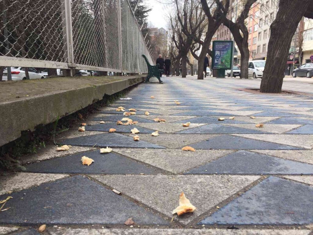Duyarsızca atılan ekmek kırıntıları kaldırımlarda kötü görüntülere sebep oluyor