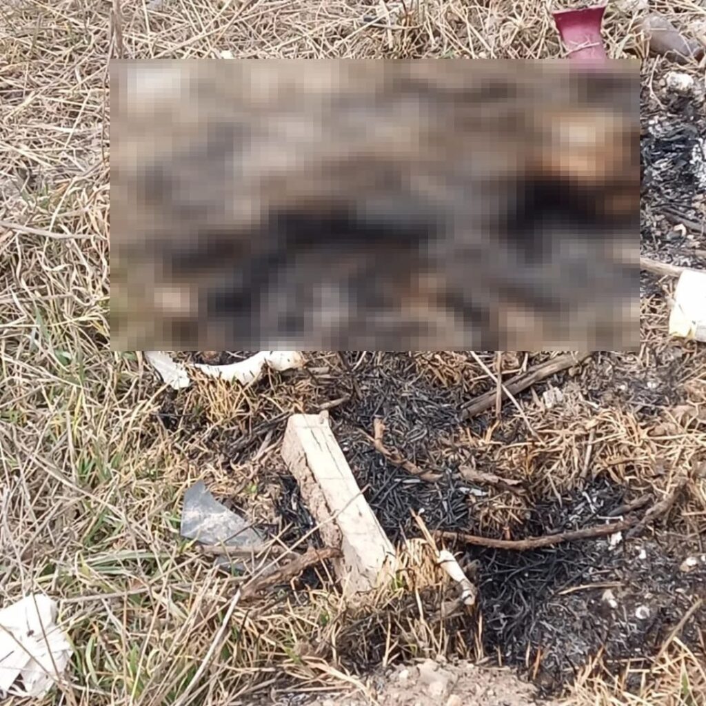 Eskişehir’de yanmış kedi cesedi bulundu