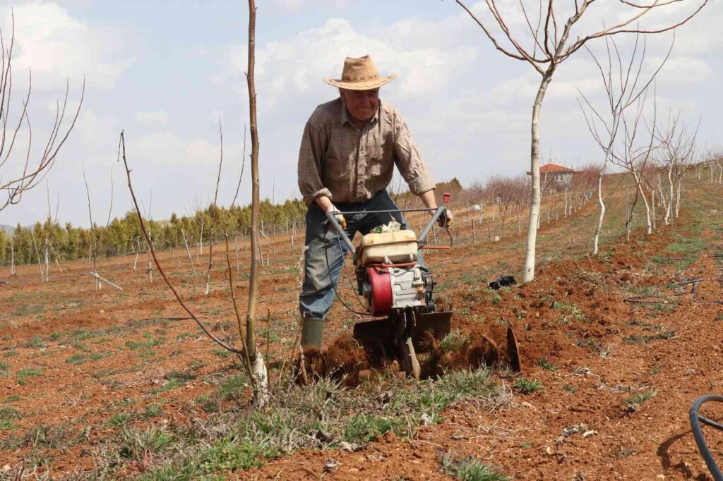 15 dekarlık meyve bahçesinin iş yükünü tek başına sırtlanıyor