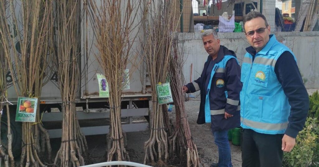 Altıntaş’ta fidan satışı kontrol ve denetimleri