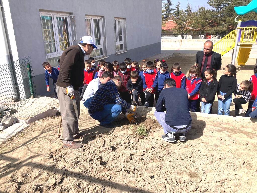 Altıntaş’ta öğrencilere ağaç budama eğitimi
