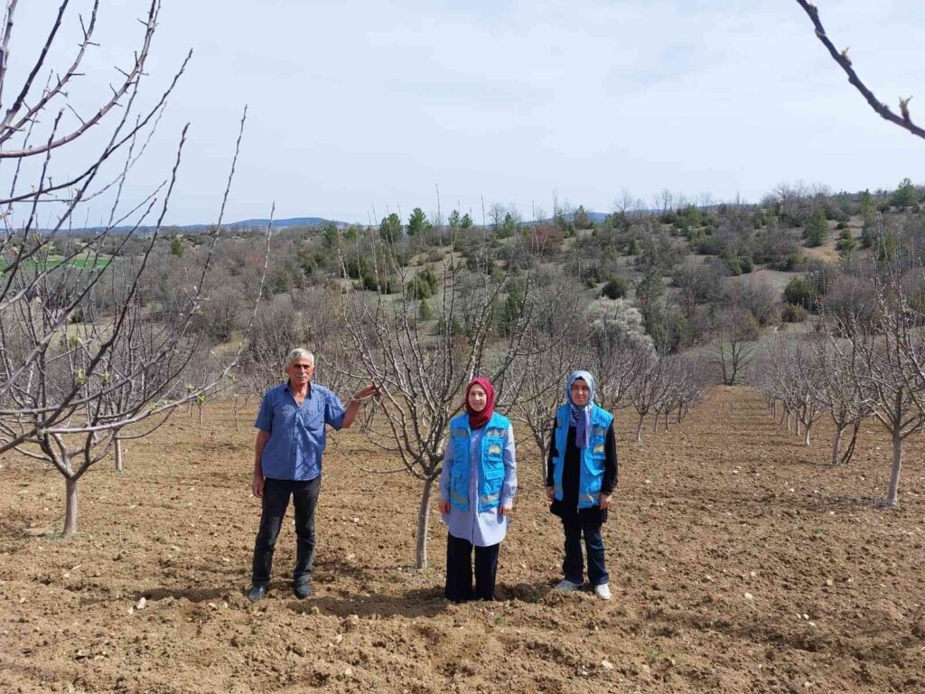 Hisarcık’ta elma bahçelerinde hastalık kontrolü