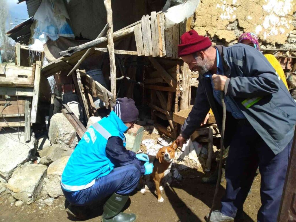 Şaphane’de kuduz hastalığı riskine karşı koruyucu aşılama çalışmaları