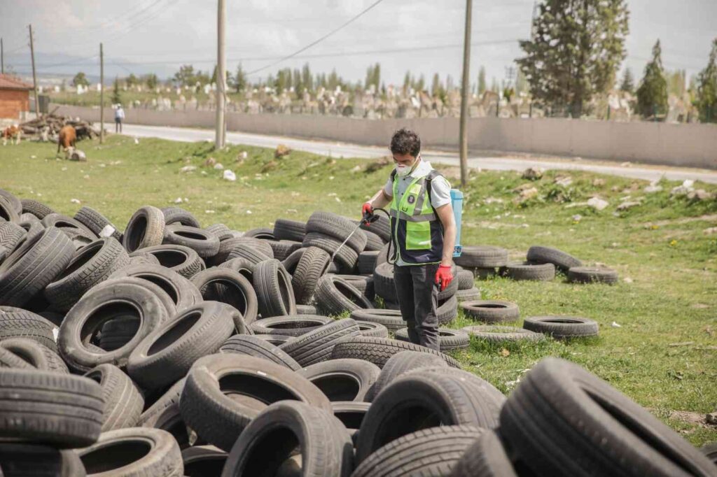 Kütahya’da karasinekle mücadele
