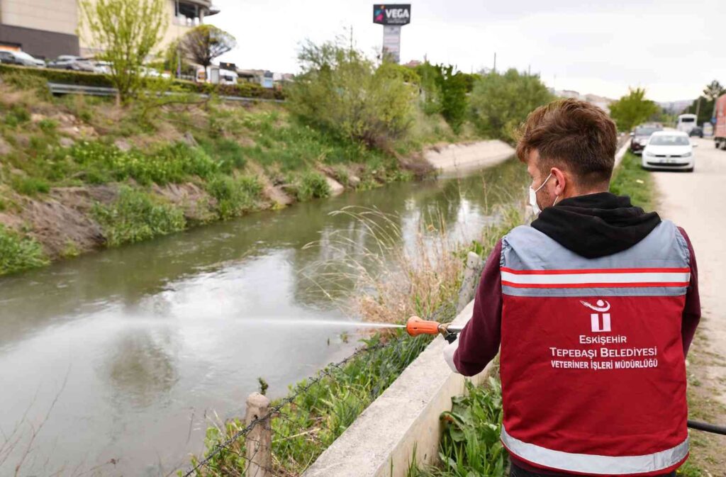 Tepebaşı’ndan haşereye karşı ilaçlama çalışmaları