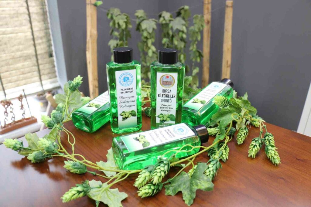 Türkiye’de sadece Bilecik’te yetişiyordu, kolonyası da yapıldı