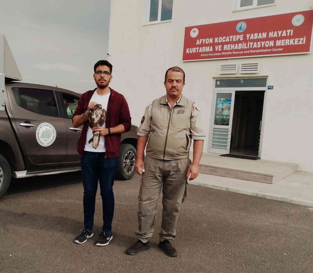 Yaralı halde bulunan sincap ve şahin tedavi altına alındı