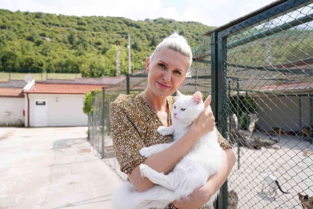 Başkan V. Subaşı’dan sokak hayvanlarını sahiplenme çağrısı