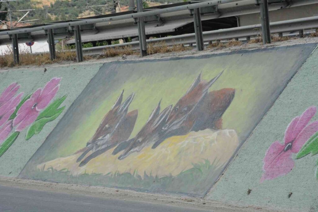 Başkan Yaman’ın tilki sevgisi