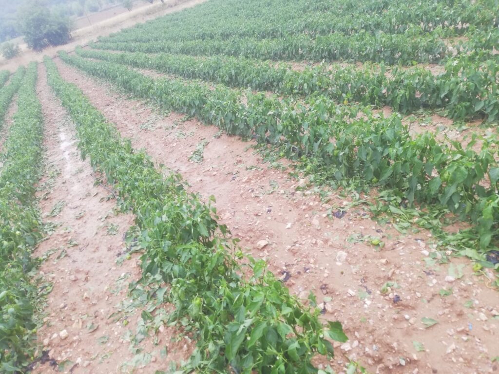 Bilecik’te ceviz büyüklüğünde dolu yağdı