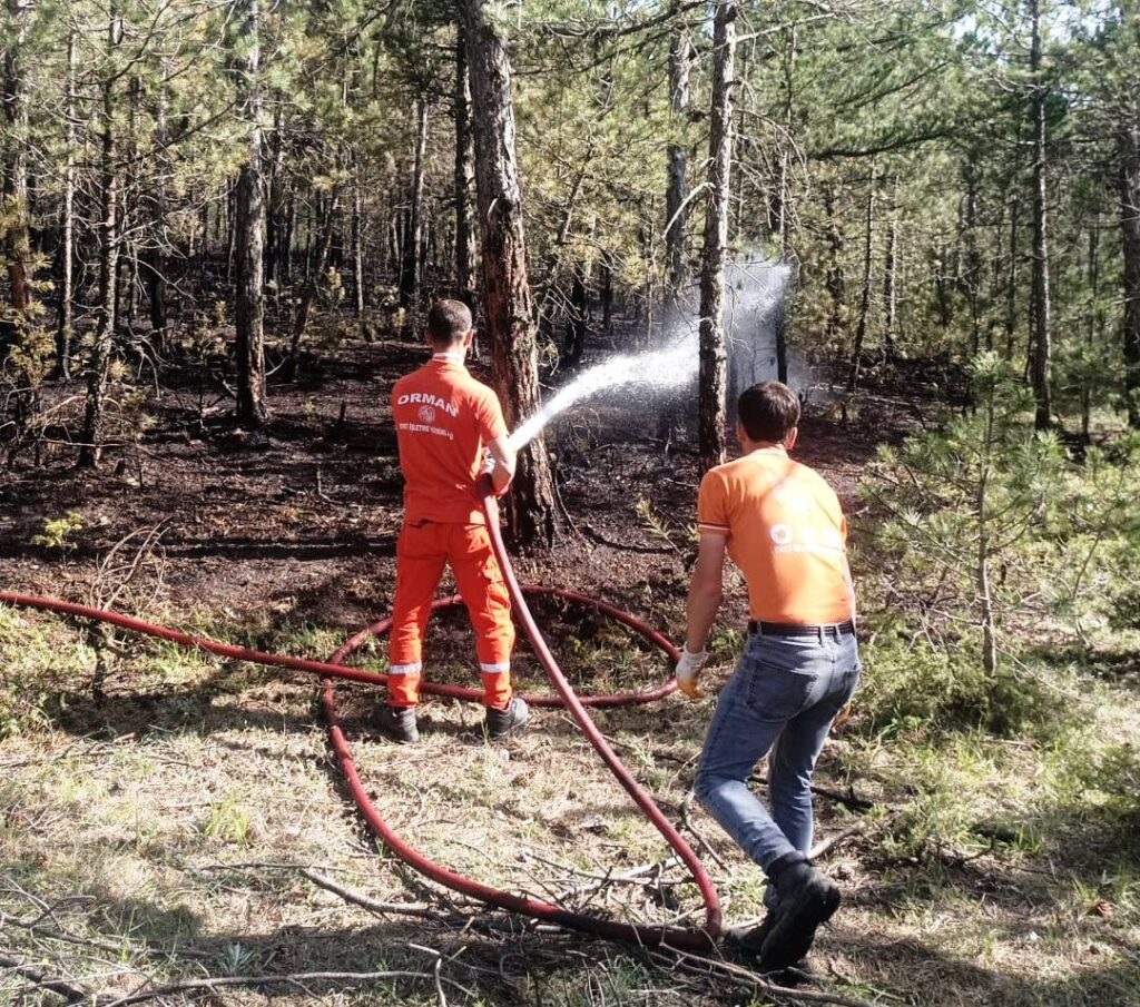 Emet’te orman yangını, 3,5 dekar alan zarar gördü