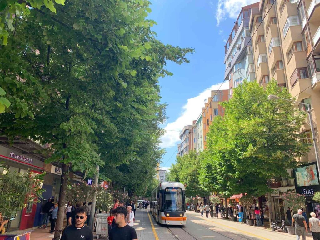 Eskişehir’i ıhlamur kokusu sardı