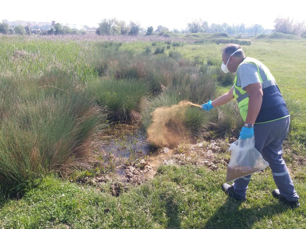Kütahya’da biyolojik ilaçlama çalışması