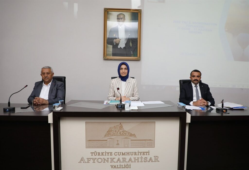 Afyonkarahi̇sarda 969 Kamu Yatırım Projesi̇ Devam Edi̇yor