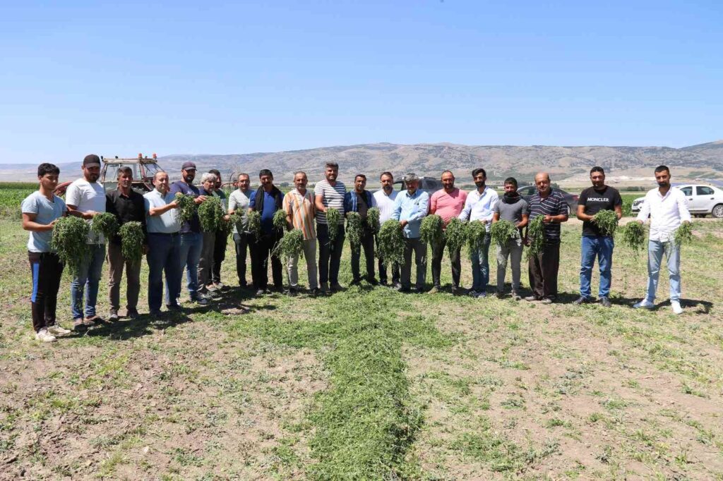 Aracılara Si̇ni̇rleni̇p İstanbula 2 Gün Boyunca Ürün Göndermeyi̇ Durdurdular