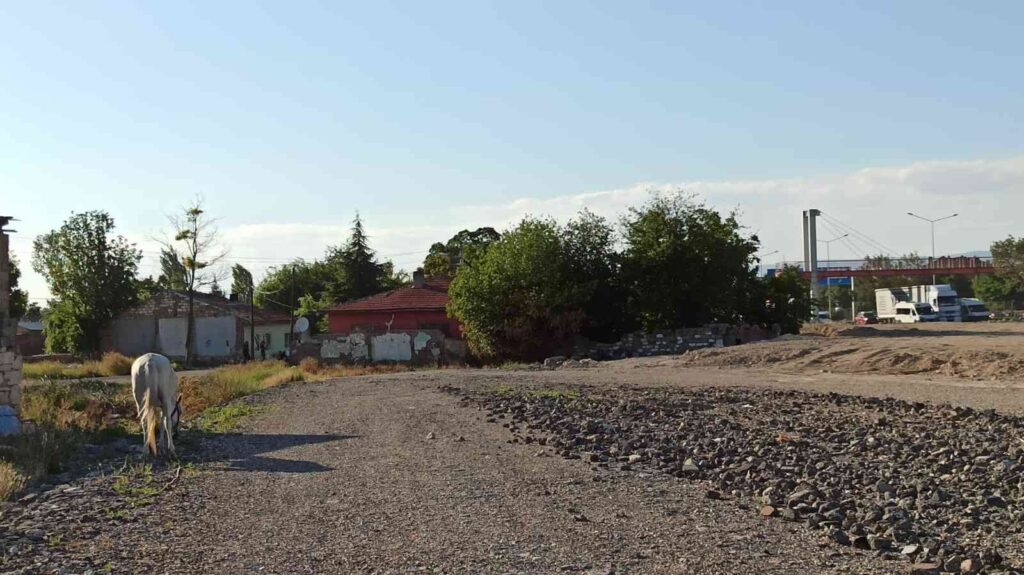 Başıboş atlar yine sahnede