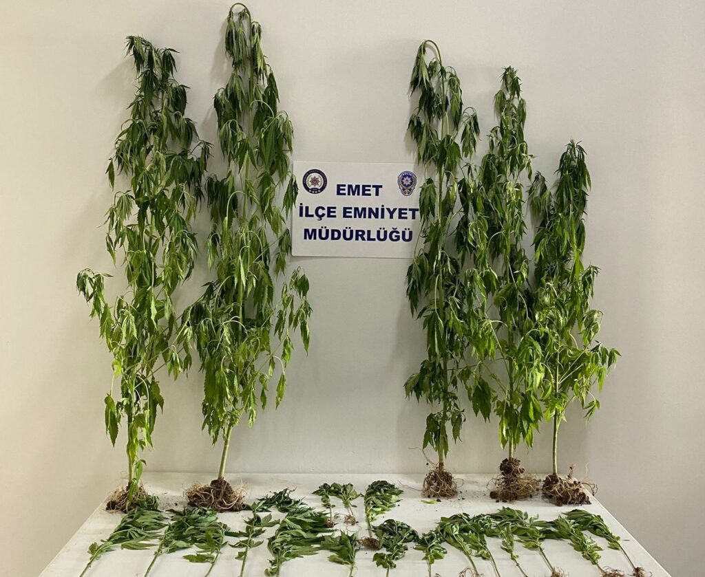 Emette 22 Kök Hi̇nt Kenevi̇ri̇ Ele Geçi̇ri̇ldi̇