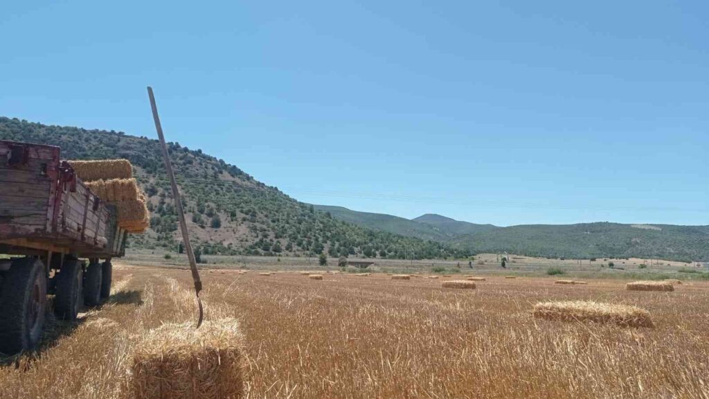 Eski̇şehi̇rde Saman Balyası Mesai̇si̇ Başladı