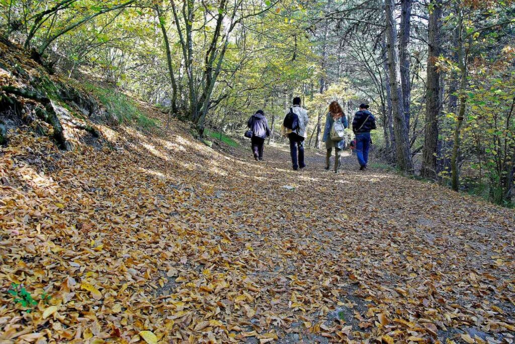 Eskişehir’deki ormanlık alanlara girişler yasaklandı
