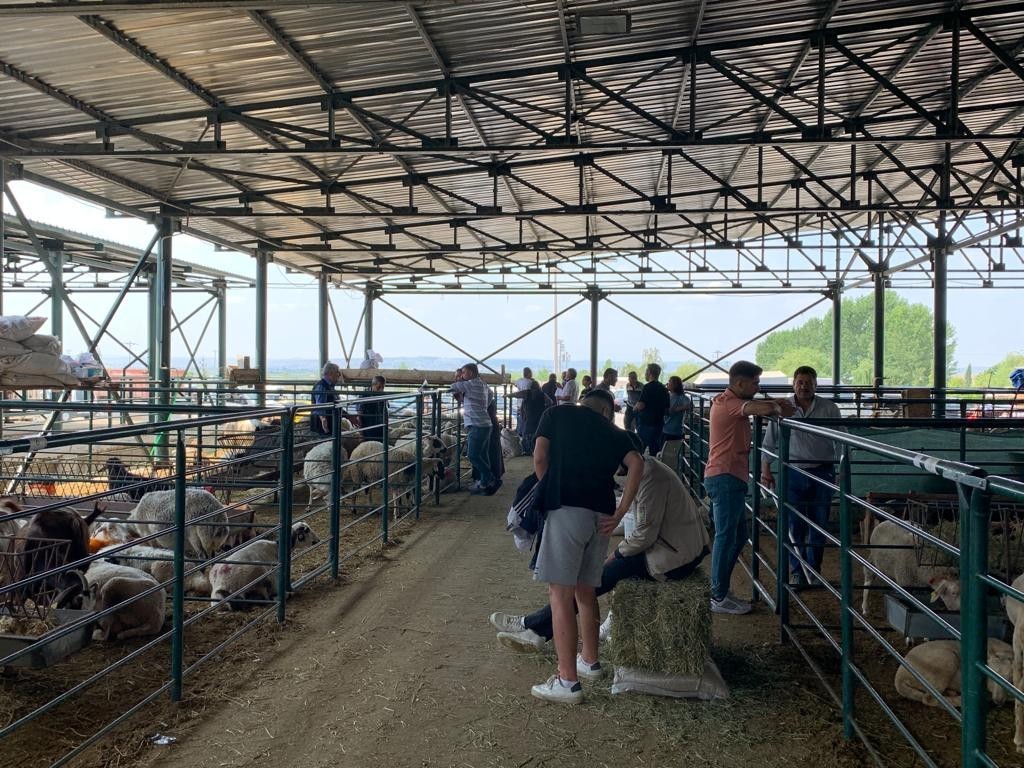 “Fiyatları biraz düşürdükten sonra satışlarımız arttı”