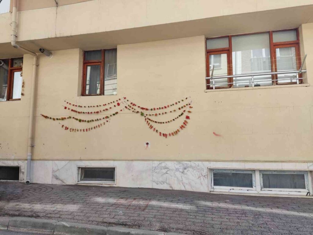 Kışlık biberler kurutulmak üzere asıldı