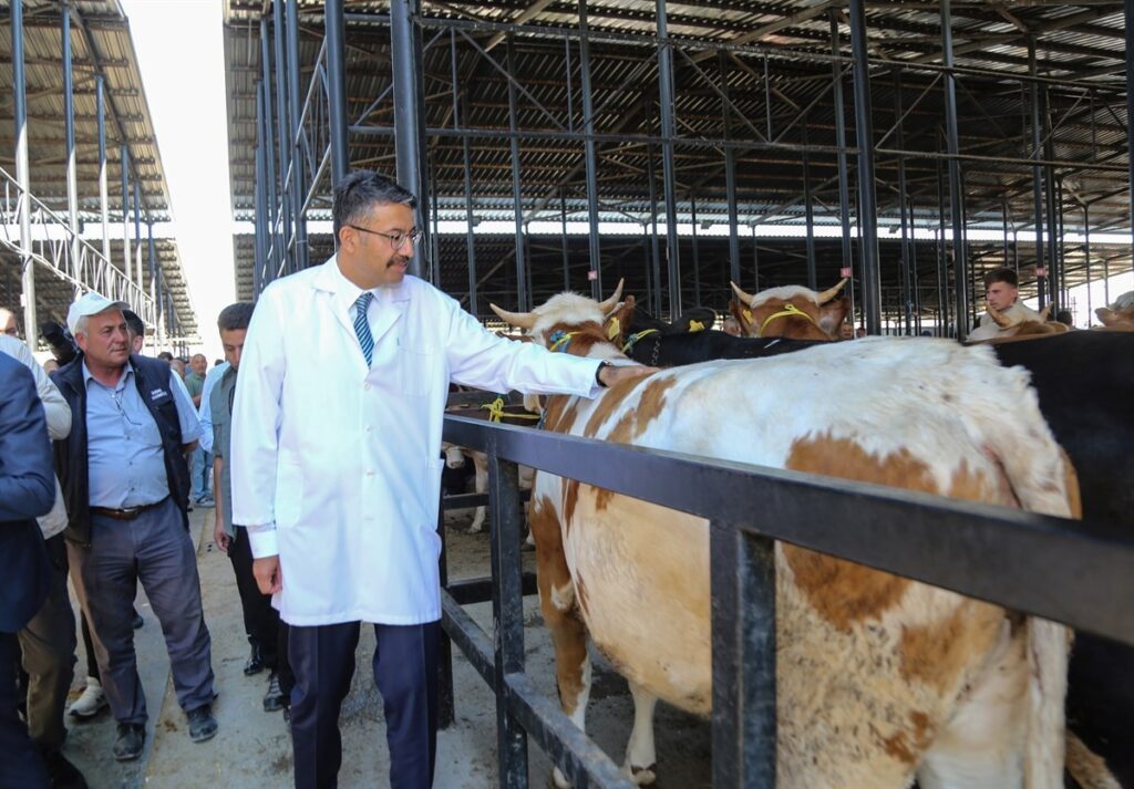 Vali Çelik’ten kurban uyarısı